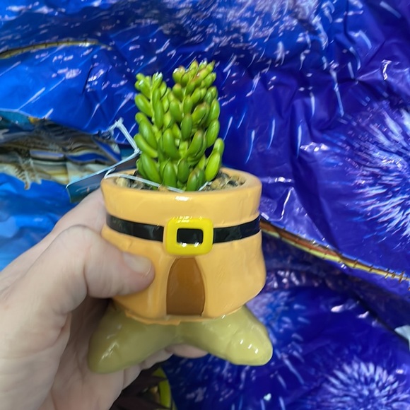 COPY - 🔥RARE🏰SOLDOUT DISNEY SNOW WHITE👗SEVEN DWARVES FAUX SUCCULENT TERRARIUM‼️… - Picture 15 of 17